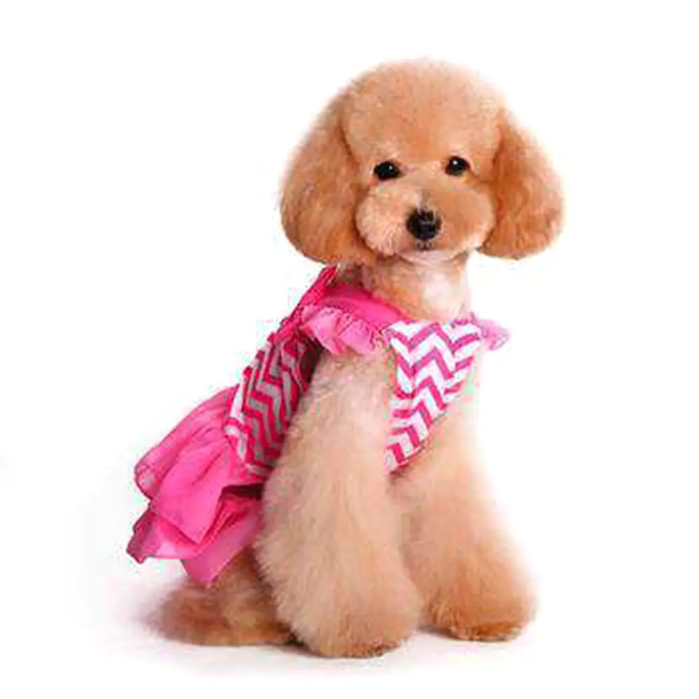 Chevron Dog Dress