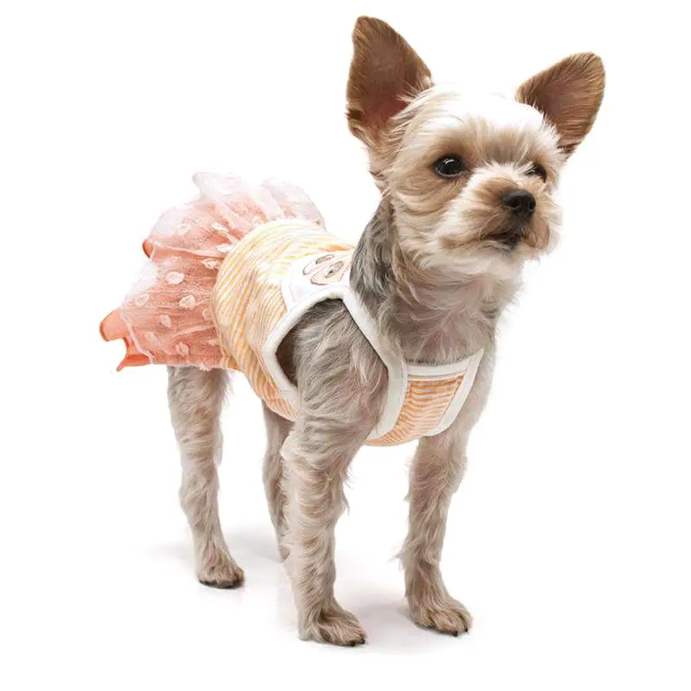 Citrus Ruffle Dog Dress