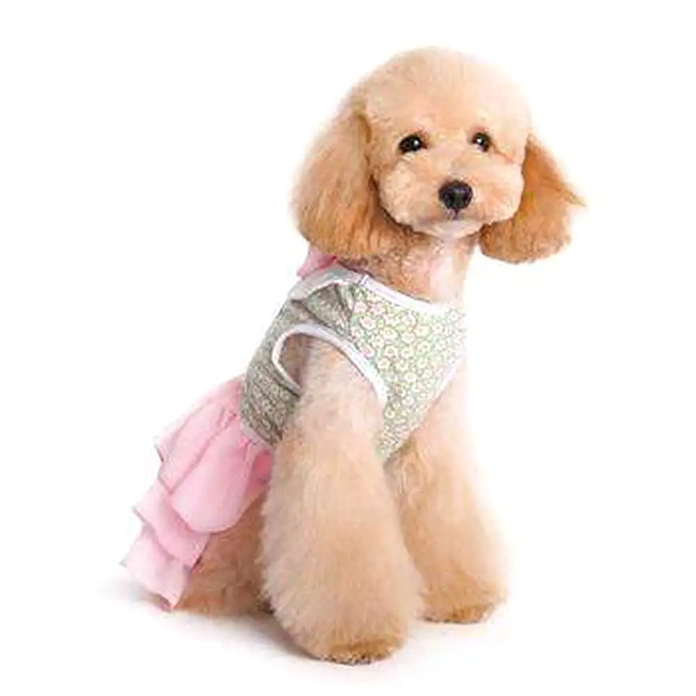 Gatsby Girl Dog Dress