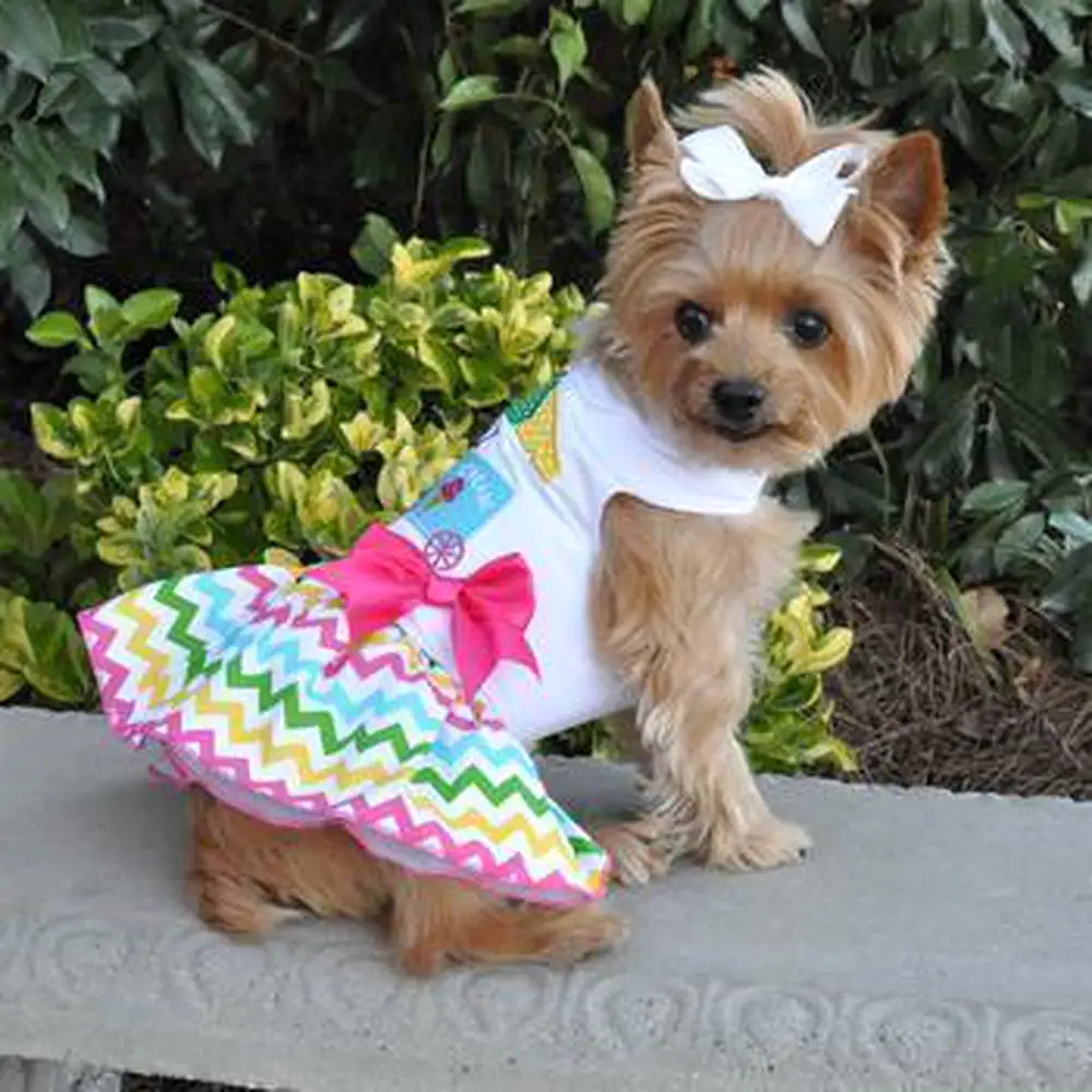 Ice Cream Cart Dog Dress with Matching Leash