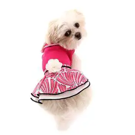 PuppyPAWer Lady Flower Dog Dress