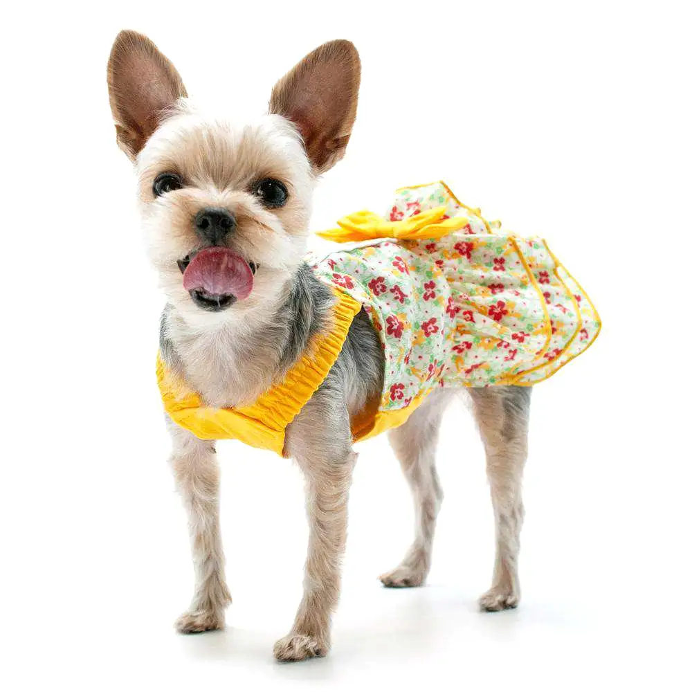 Southern Belle Dog Dress