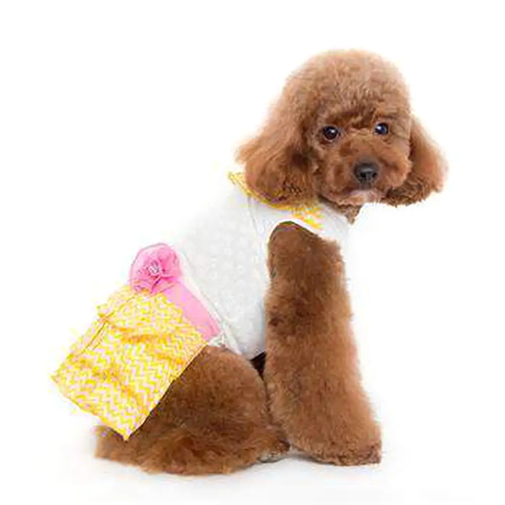 Sunshine Chevron Dog Dress