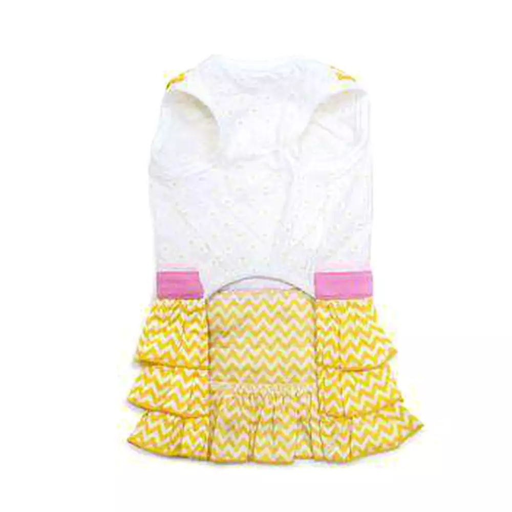 Sunshine Chevron Dog Dress